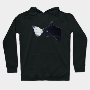 Black cat Hoodie